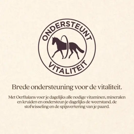 Vitalstyle OerBalans brokken 4 kg