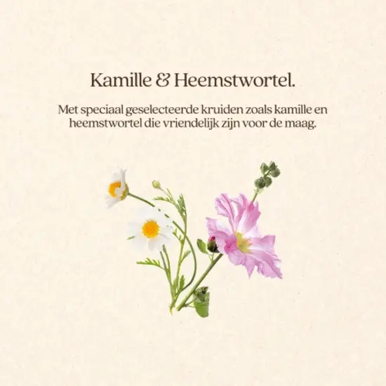 Vitalstyle GastroComplex 1 kg