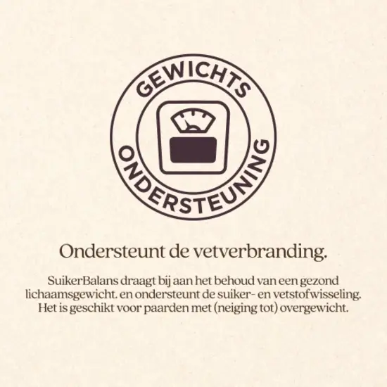 Vitalstyle SuikerBalans 1 liter