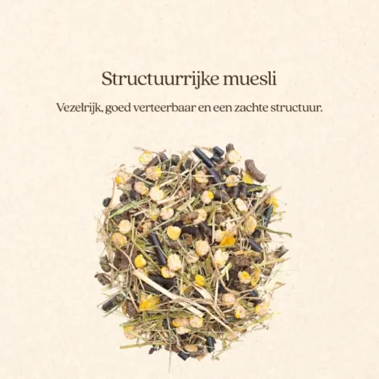 Vitalstyle Muesli Gut & Gastro 15 kg