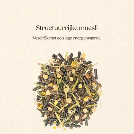 Vitalstyle Muesli Light & Sober 15 kg