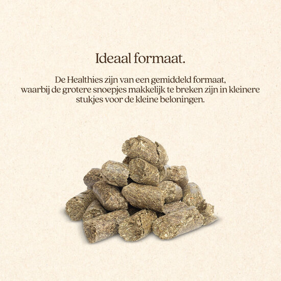 Vitalstyle Healthies met Lijnzaad 1 kg