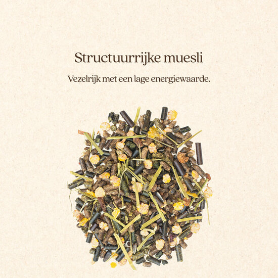 Vitalstyle Muesli Light & Sober proefzakje