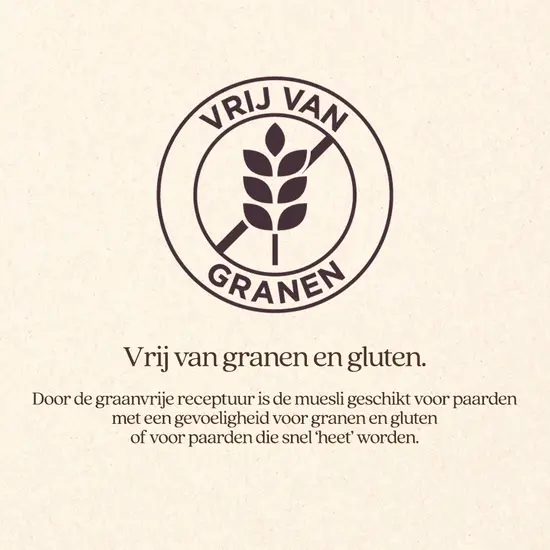 Vitalstyle Muesli Weight & Condition 15 kg