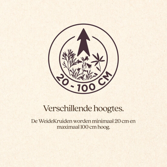 Vitalstyle WeideKruiden 25 g