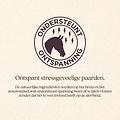 Vitalstyle ChillPill 60 stuks