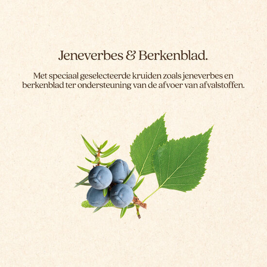 Vitalstyle DetoxMix 3 kg