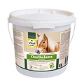 Vitalstyle OerBalans poeder 4 kg