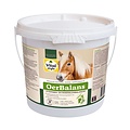Vitalstyle OerBalans brokken 4 kg