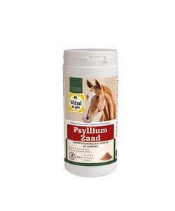 PsylliumZaad 800 gram