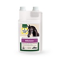 Vitalstyle Silicium+ 1 liter