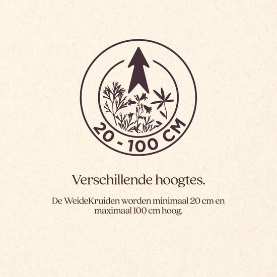 Vitalstyle WeideKruiden 1 kg