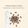 Vitalstyle Senior hondenbrokken 3 kg