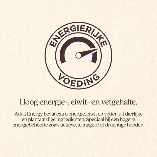Vitalstyle Adult Energy hondenbrokken 20 kg
