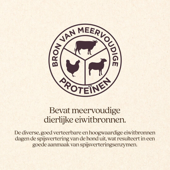 Vitalstyle Adult Energy hondenbrokken 20 kg