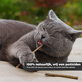 KiddyCat® Matatabi Japanse kattenstokjes (20 stuks)