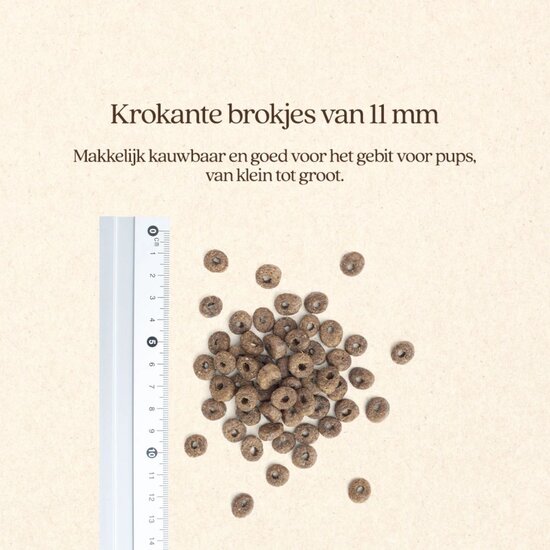 Vitalstyle Pup & Junior hondenbrokken 3 kg