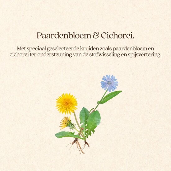 Vitalstyle Adult hondenbrokken 1,5 kg