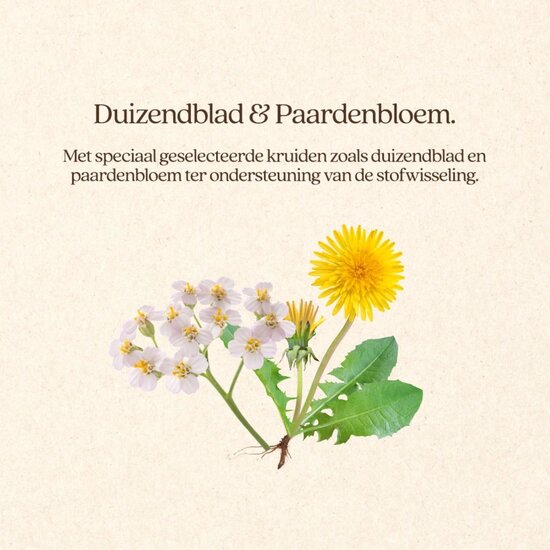 Vitalstyle Adult kip hondenvoeding blik 6x400 gram (tray)