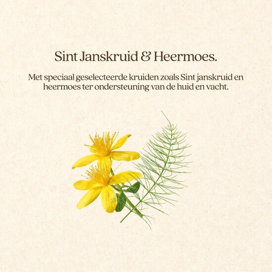 Vitalstyle Huid en Vacht hondenbrokken 2x12 kg (duopack) | Aanbieding