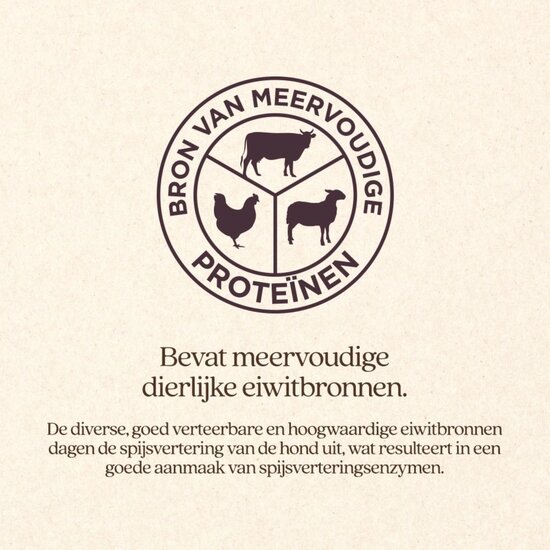 Vitalstyle Spieren en Gewrichten hondenvoeding blik 6x400 gram (tray)