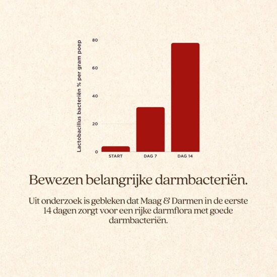 Vitalstyle Maag en Darm hondenvoeding blik 6x400 gram (tray)