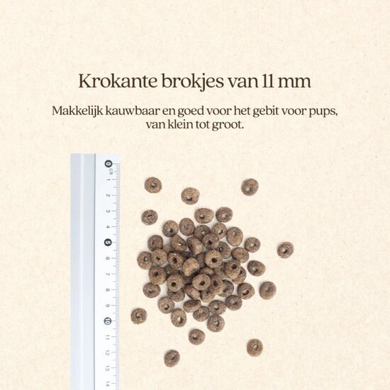 Vitalstyle Pup & Junior hondenbrokken 10 kg