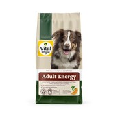 Hondenvoer actieve hond