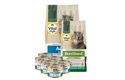 Kattenvoeding
