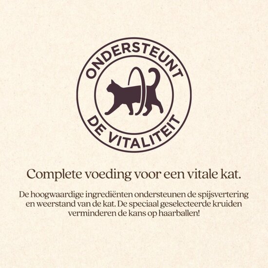 Vitalstyle Adult met zalm kattenbrokken 3,5 kg