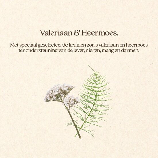 Vitalstyle Senior kattenbrokken 3,5 kg