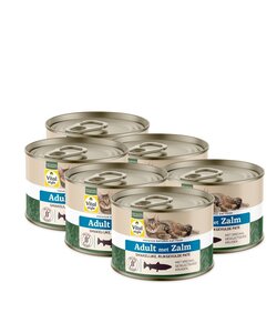 kattenvoeding Adult met zalm 6x200 gram