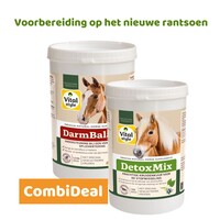 DetoxMix + DarmBalans Pakket S (combi-deal)