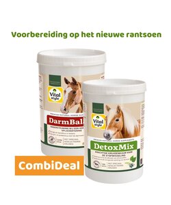 DetoxMix + DarmBalans Pakket S (combi-deal)