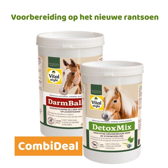 Vitalstyle DetoxMix + DarmBalans Pakket S (combi-deal)