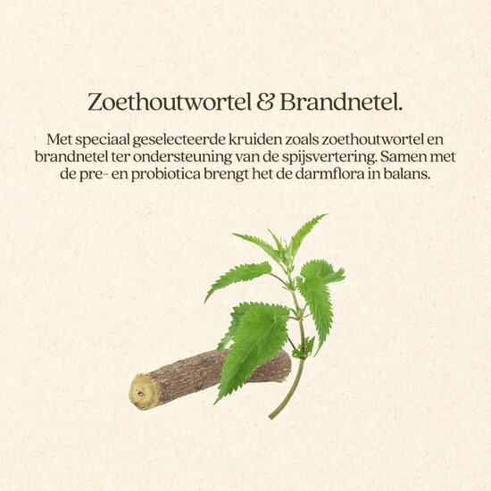 Vitalstyle DetoxMix + DarmBalans Pakket S (combi-deal)