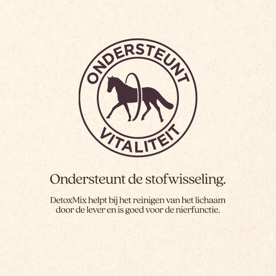 Vitalstyle DetoxMix + DarmBalans Pakket L (combi-deal)