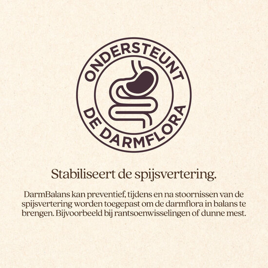 Vitalstyle DetoxMix + DarmBalans Pakket L (combi-deal)