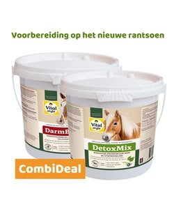 DetoxMix + DarmBalans Pakket L (combi-deal)