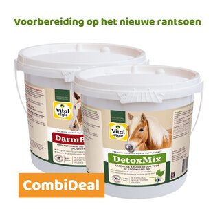 DetoxMix + DarmBalans Pakket L (combi-deal)