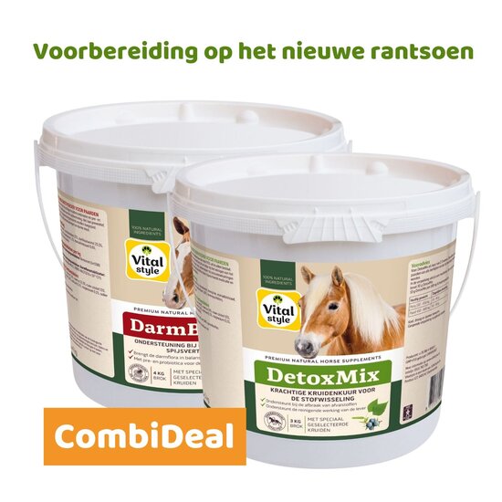 Vitalstyle DetoxMix + DarmBalans Pakket L (combi-deal)