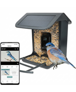 Slim Vogelvoerhuisje met Camera & AI Herkenning