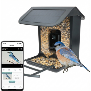Slim Vogelvoerhuisje met Camera & AI Herkenning