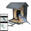 Slim Vogelvoerhuisje met Camera & AI Herkenning