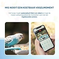 Slim Vogelvoerhuisje met Camera & AI Herkenning