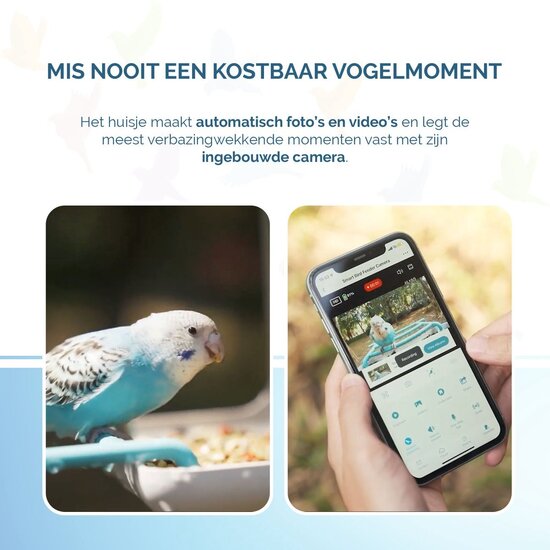 Slim Vogelvoerhuisje met Camera & AI Herkenning