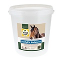 Vitalstyle DailyFit Balancer 10 kg