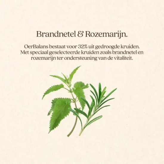 Vitalstyle OerBalans brokken proefzakje