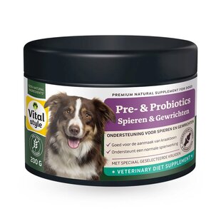 Pre- & Probiotica Spieren & Gewrichten voor Hond 200g