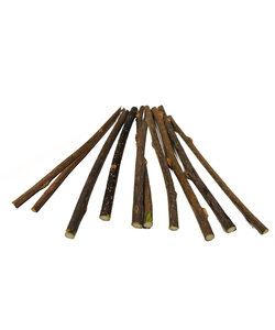 Japanse kattenstokjes - Matatabi  (10 stuks)
